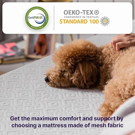 NapQueen Twin-XL mattress dimensions in bedroom setting