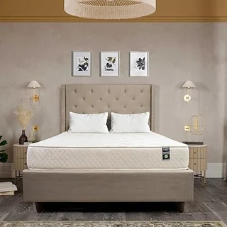 Aylas Furniture queen mattress with visco elastic foam comfort layer