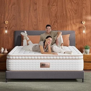 BedStory extra firm queen hybrid mattress for back pain relief