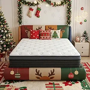 Parpara queen size mattress in a box with memory foam and hybrid design