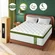 BedStory queen bed mattress with pain relief features and lumbar support