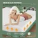 CertiPUR-US certified foam mattress with breathable cooling technology
