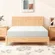 Culect twin memory foam mattress with 10-inch thickness on bed frame