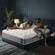DCOOLAULTRA 14-inch hybrid mattress with memory foam and individually wrapped coils