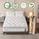 DIGLANT Twin XL mattress 80x39 inches with medium plush support and pocket springs