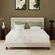 EGOHOME twin mattress with cooling green tea gel memory foam for pressure relief
