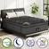 FANSACE 14-inch deluxe mattress featuring pocket springs for enhanced support