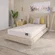 HomeLife twin size mattress with tight euro top design, delivered rolled in a box