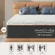 Twin mattress measuring 75L x 39W x 10Th ideal for compact living spaces