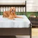 IULULU twin mattress with gel memory foam and bamboo cover