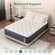 Lechepussleep medium plush mattress in a box for motion isolation