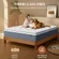 Luxysea medium firm mattress designed for back pain relief and support