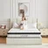 Lxvunan queen mattress with gel memory foam and independent bag springs