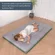 Portable futon mat by MAXYOYO, foldable design for versatile use as a floor bed