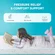 5 inch thick blue mattress perfect for kids' bedrooms