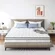 10 inch medium firm mattress providing back and lumbar support