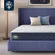 Serta Five Star Mattress Tranquility plush pillow top in queen size